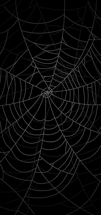 a spider web pattern on a black background Halloween Spider Webs Diy Halloween Decoration Ideas, Black And White Spider Web, Halloween Spider Web Decor,