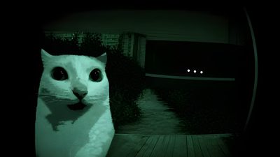a white cat sitting on top of a wooden floor Silly Halloween Horror Themed, Background It, Ps5, Ipad Horror, Twitch, Dark Desktop, black