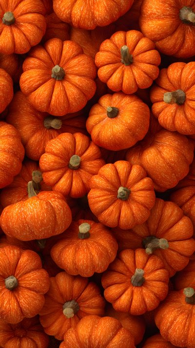 many orange pumpkins are stacked up together Halloween Orange Pumpkin Free Fall, Pumpkin, Thanksgiving Inspiration, Fall Background, firebrick