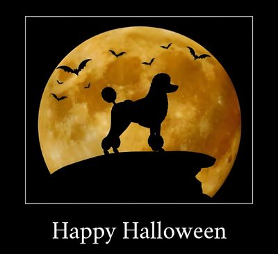 a happy halloween card with a poodle silhouetted in front of a full moon Halloween Poodle Standard Poodle Skeleton, Black Poodle In Autumn, Poodle Juggling Clipart,