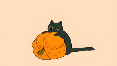 a black cat sitting on top of a large orange pumpkin with the caption debbleba Halloween Desktop Gif First Example, Pumkat Gif, Halloween Warm Up, Cute Halloween Black Cat Gif, peach puff