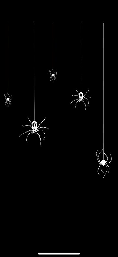 a group of black and white spider's hanging from strings in the dark with text overlay Black And White Halloween Halloween Spider, Spider For Phone, Spider Iphone, Spider Web, Spooky Spider,