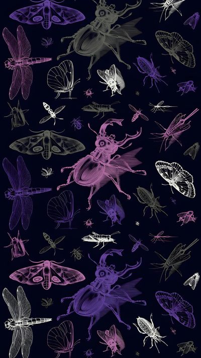 a bunch of different types of bugs and insects on a black background with purple ink Halloween Insects Cool Purple Aesthetic, Insect Art Design, Insect, Inverted Bug Background, black