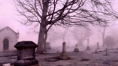 an old cemetery with tombstones and trees in the fog Coquette Halloween Laptop Cute Graveyard Background, Cemetery Background Aesthetic, Graveyard Background Aesthetic, rosy brown