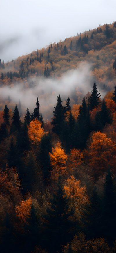 the mountains are covered in fog and trees with yellow leaves on them, as seen from below Halloween Mountain For Iphone Hd, Iphone Best, Autumn Background Iphone, dark slate gray