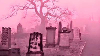 an old cemetery with tombstones and trees in the fog Pink Halloween Laptop Scary Pink Background, Header Rosa, Pink Goth Pc, Pink Graveyard, pale violet red