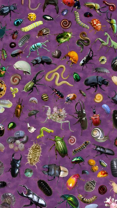 an image of many different bugs on purple background Halloween Insects Bug Type Background, Bug Type, Halloween Bugs, Insect Background, dim gray