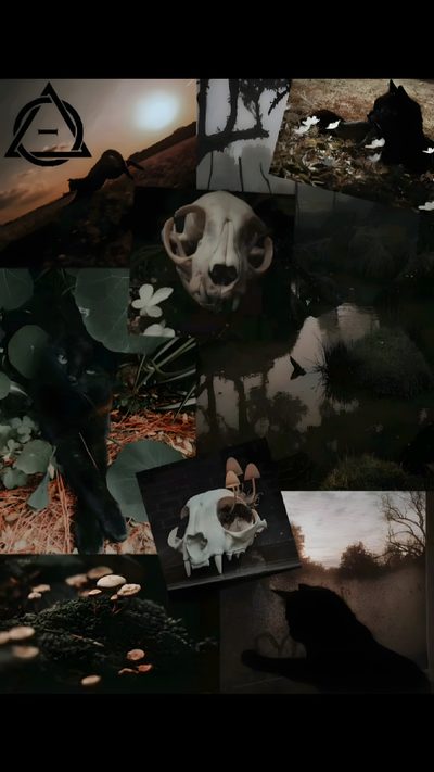 a collage of images with animals and plants in them, including an animal skull Therian Halloween Possum Therian, Therian Black Cat, Black Cat Therian Background,
