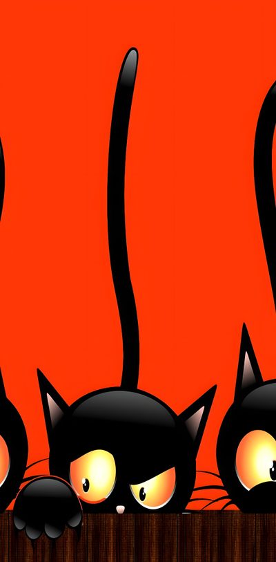 three black cats sitting on top of a wooden shelf next to each other with glowing eyes Halloween Cat Stripes Halloween Cats, Savanna, Cat Halloween, Halloween Cat Ideas, orange red