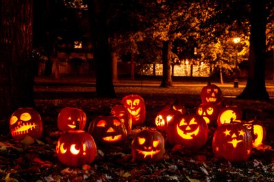 pumpkins carved to look like jack o lantern faces Calabazas Halloween Jack O Lantern Pumpkin Patch, Jack O Lantern Jamboree 2, Jack O Lantern Driveway Lights, black
