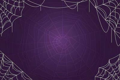 an abstract purple background with spider webs Halloween Vector Background Halloween, Spiderweb Background, Spider Web Background, midnight blue
