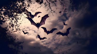 bats are flying in the sky above some trees Halloween Bats Flying Bat Banner, Goth Desktop Hd 1080p, Goth, Gothic Aesthetic, Pc, dark slate gray