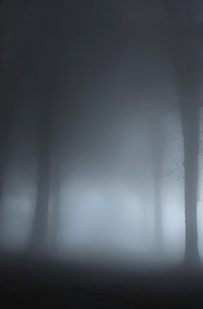 a foggy forest filled with lots of trees Halloween Not Blurry Dark Places, Scary Backgrounds, Foggy Woods Background, dark slate gray