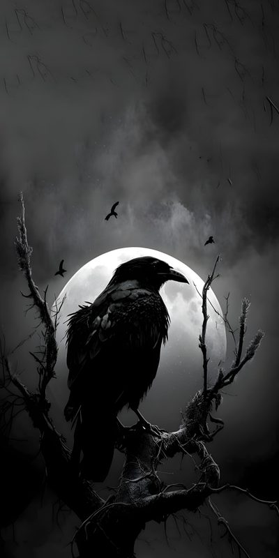 a black and white photo of a crow sitting on a tree branch with the moon in the background Halloween Crow Dark Custom Gothic Crows, Corvos, The Crow 2024, Crow Aesthetic, Corbeau, dark slate gray
