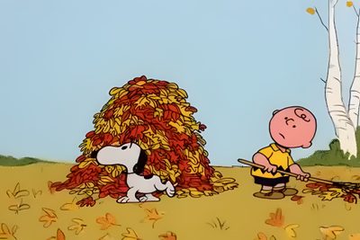 a charlie brown cartoon with a dog and a pile of leaves Snoopy Halloween Gif Cute Fall Gifs Snoopy, Charlie Brown Thanksgiving Gif, Thanksgiving Charlie Brown Gif, light steel blue