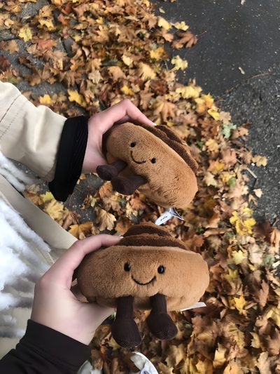 someone holding two stuffed animals in their hands on the ground with leaves all around them Jellycat Halloween Cosy Fall Aesthetic, Jellycat Stuffed Animals, Jellycat Autumn, Fall Things, dim gray