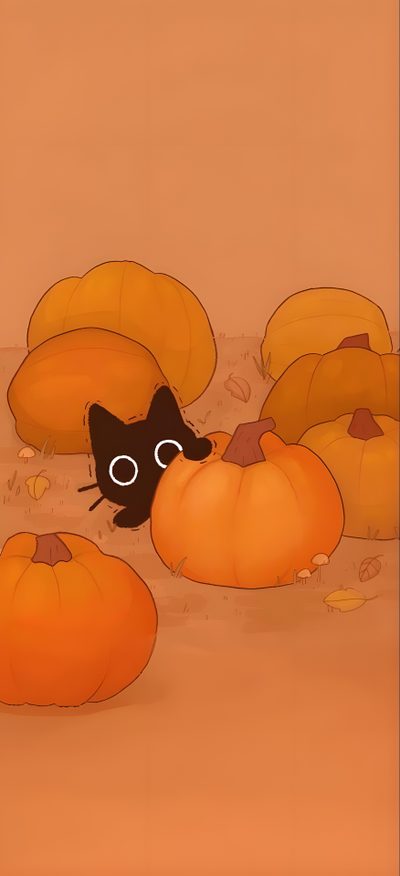 a black cat peeking out from between pumpkins on the ground in front of an orange background Cute Cat Halloween Cartoon Fall Backgrounds, Cute Fall Aesthetic, Cute Cat Halloween Cartoon, peru