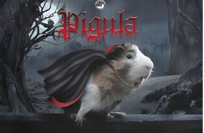 a rodent with a cape on it's head Halloween Guinea Pig Vampire Guinea Pig, Halloween Guinea Pigs-on-white, Guinea Pig Halloween Costumes, dark slate gray