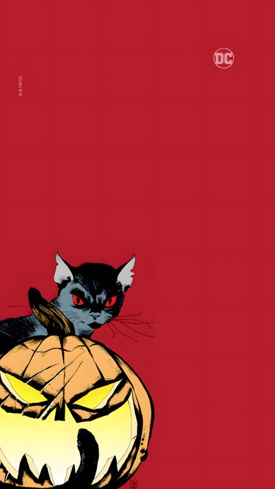 a black cat sitting on top of a pumpkin Halloween Comic Dc Comic, Ipad Dc Comics, Batman Halloween Iphone, Batman Halloween Background, black