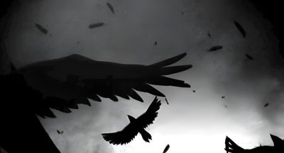 the shadow of a bird flying in front of a dark sky with birds on it Halloween Gif Pc Gif Banner Discord, Discord Banner Gift, Discord Nitro Gif Banner, dark slate gray