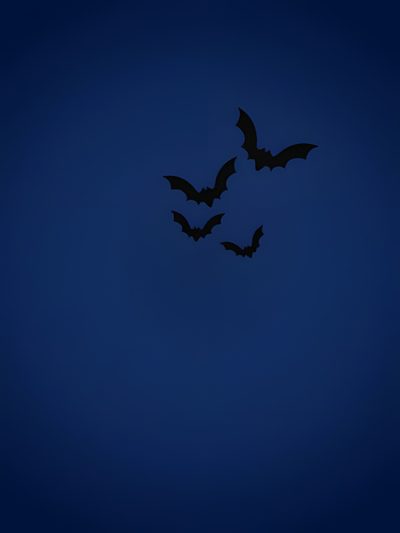 two bats are flying in the dark blue night sky with no one visible on it Navy Blue Halloween Dark Blue Scary Background, Blue Fall Aesthetic, Blue Scary Background,