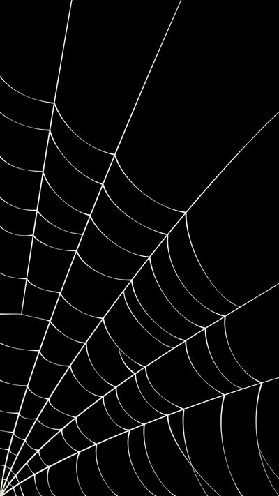 a black and white photo of a spider web Spider Web Halloween Spiderweb, Black Spiderweb, Spiderweb Lockscreen, Black Spider Web, Spider Web,