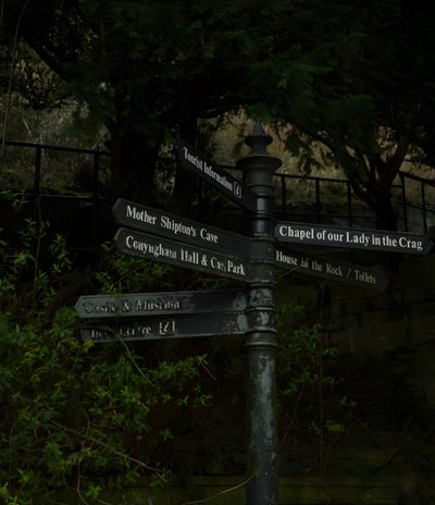 the street signs are clearly visible for all of us to see on this dark day Aesthetic Sage Green Halloween Dark Solarpunk, Goblincore Widget Icons, Dark Academia Woods Aesthetic, black