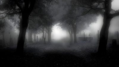 black and white photo of foggy graveyard with trees in the foreground at night Bing Halloween Dark Gothic Aesthetic Computer, Gothic Forest Background Aesthetic, Dark Foggy Cemetery Atmosphere, dark slate gray