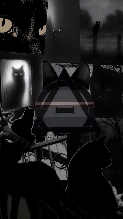 a black cat sitting in front of a window next to other pictures and cats on the wall Therian Halloween Black Cat Memes Hilarious, Black Cat In Bath Meme, Black Cat Therian Background,