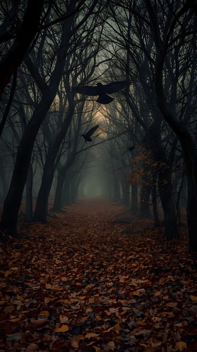 an image of a dark forest with leaves on the ground Halloween Nature Deep In The Woods, Spooky Hd, Scary Fall Background, Spooky Nature, Dark Fall Iphone, black