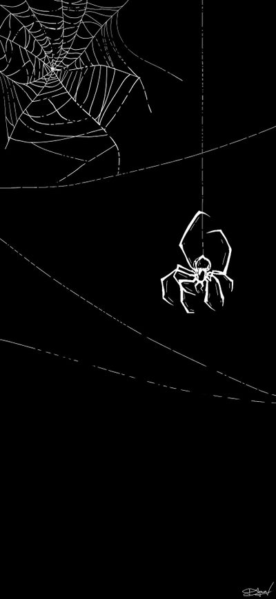 a spider hanging from a web in the dark Spider Halloween Spider Wallaper, Black Spidey, Spooky Goth, Dark And Aesthetic, Black And White Spider,