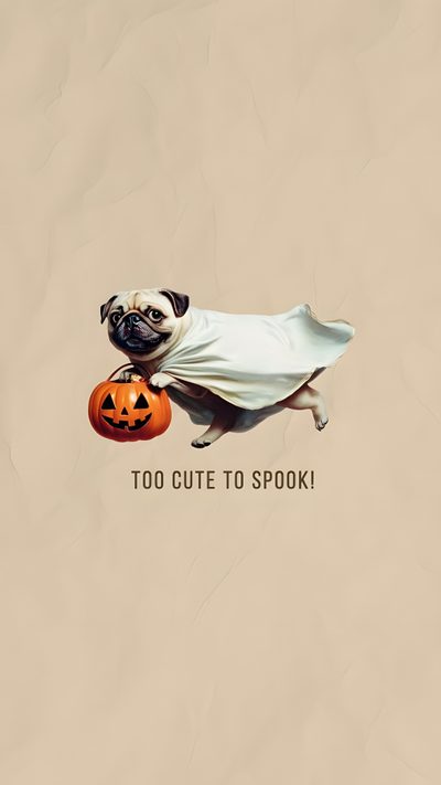 a pug dog dressed as a ghost with a pumpkin Halloween Pug Iphone Dog Pumpkin, Dog Halloween Aesthetic, Fall Pug, Spooky Dog, Halloween Pug, silver
