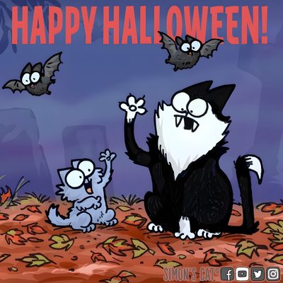 an image of a cartoon cat with bats in the background and happy halloween written on it Simons Cat Halloween Hd Simons Cat Halloween, Simons Cat Spider, Simons Cat Jazz, dark slate blue