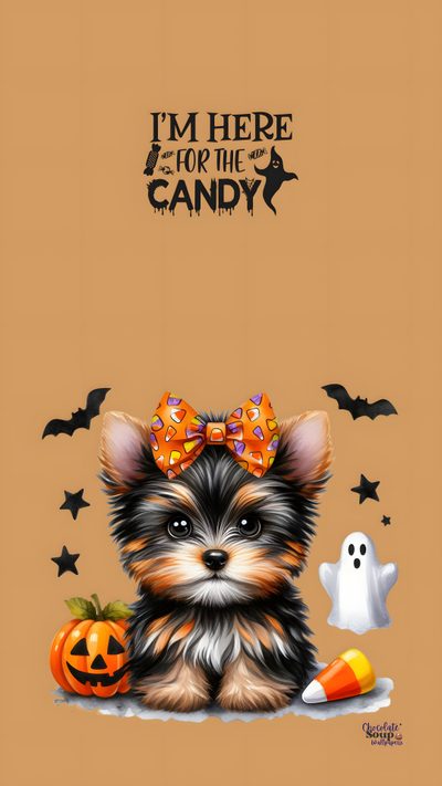 a small dog with a bow on its head sitting in front of some halloween decorations Yorkie Halloween Cute Halloween Puppy, Cute Halloween Puppy Backgrounds, Cute Dog Halloween, peru