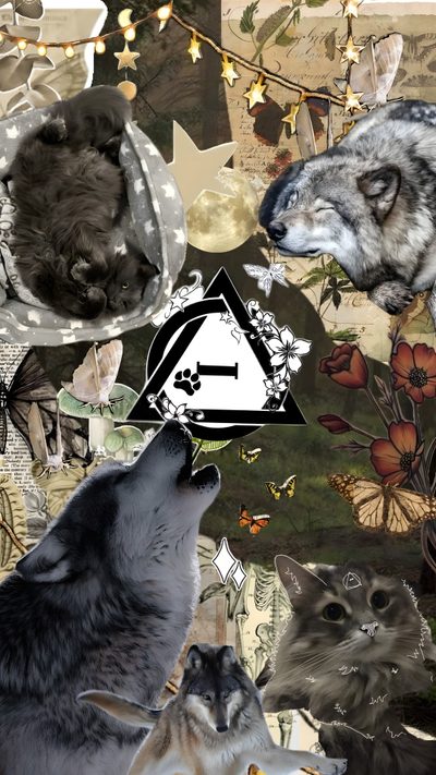 collage of wolfs and butterflies with the letter e in the middle surrounded by other animals Therian Halloween Cute Wolf Drawings, Wolf Quotes, Wolf Spirit Animal, Wolf Drawing, dark olive green