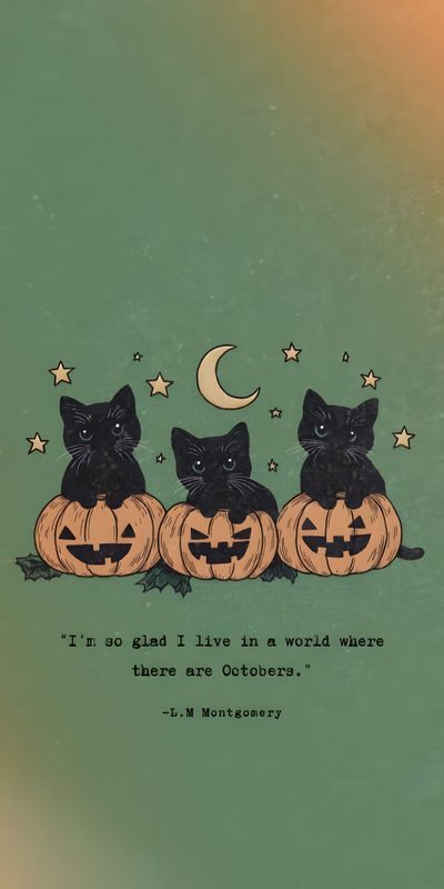 three cats sitting on pumpkins with the caption i'm no land live in a world where there are october Halloween October Fall Spooky, October Iphone Halloween, Cozy Fall Lockscreen, Cute Spooky Phone, dim gray