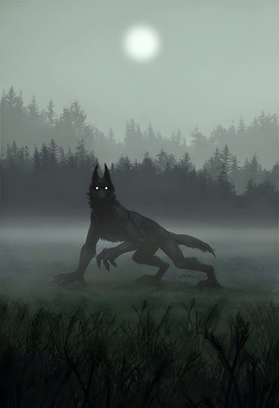 a black wolf running across a grass covered field in front of a forest at night Halloween Werewolf Wolf Drawing, Gothic Horror, Dire Wolf, Scary Wolf, Wolf Photos, dark slate gray