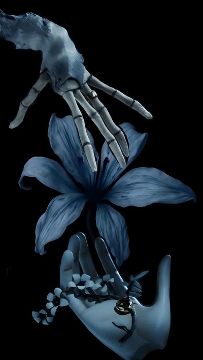 a hand reaching for a blue flower on top of a black background with white hands Halloween Iphone Corpse Bride Corpse Bride Art, Emily Corpse Bride, Tim Burton Corpse Bride, black