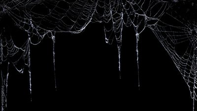 spider webs hanging from the ceiling with icicles on them in black and white Halloween Web Black Spider Web Aesthetic, Spider Gif Banner, Aesthetic Spider Web Black Background,